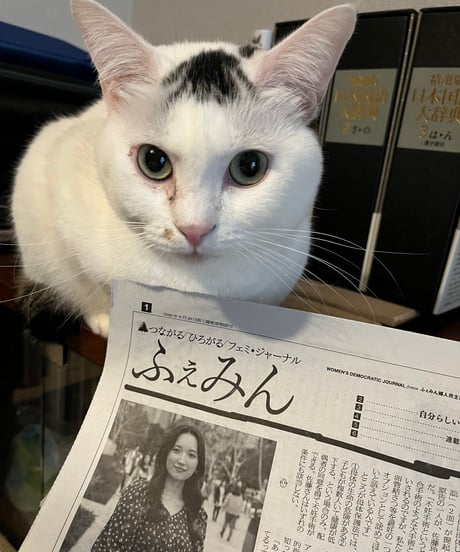 ふぇみん2024年11月15日号（3402号）