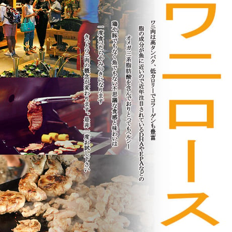 ワニ肉 ロース(タイ産)～大きさお任せ!!～(約1kg) #暁