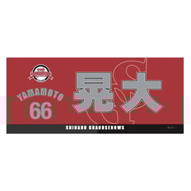 プロ野球独立リーグ〉信濃グランセローズ2022シーズン応援グッズ販売