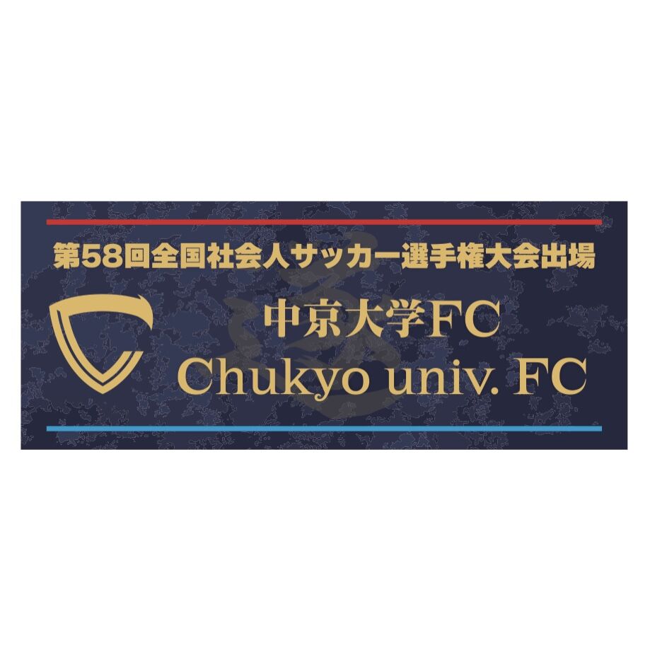 サッカー 社会 人 全国 大会