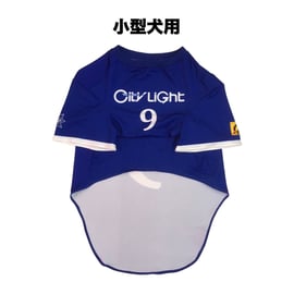 社会人野球〉シティライト岡山 応援グッズ販売開始 | My Star