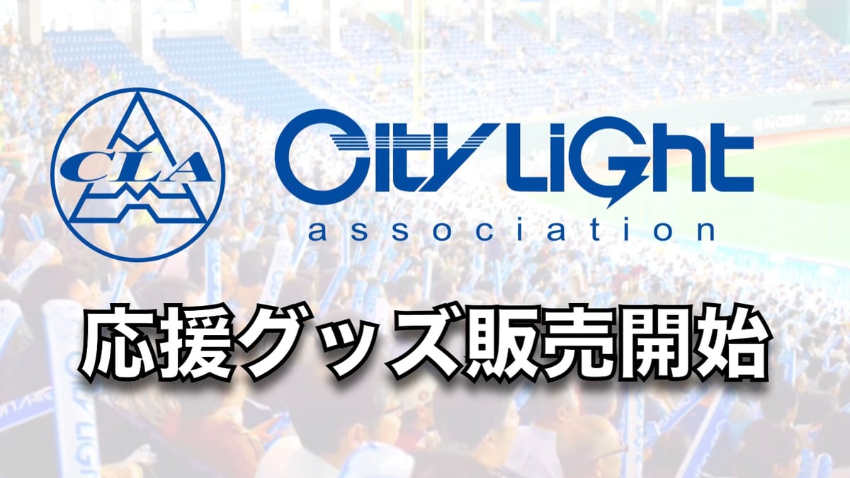 DESCENTE - 社会人野球 シティライト岡山 選手支給ユニフォーム DESCENTE - 社会人野球 シティライト岡山 選手支給ユニフォーム