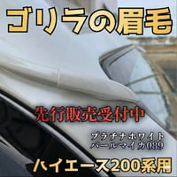 n.goRi エヌゴリ
