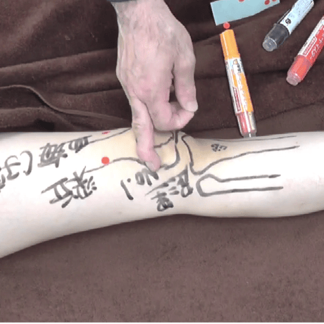 oriental medicine Tuina massage ～中医推拿～ コンプリートパック【肩・腰・上肢・下肢・ヘッド】