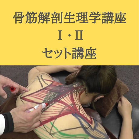 骨筋解剖生理学講座 Ⅰ・Ⅱセット講座　【初回受講者用】