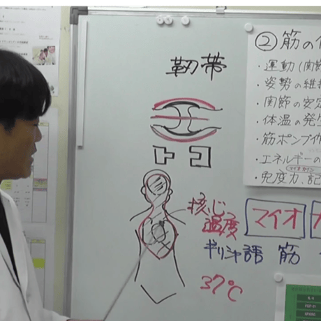骨筋解剖生理学講座 Ⅰ・Ⅱセット講座　【初回受講者用】
