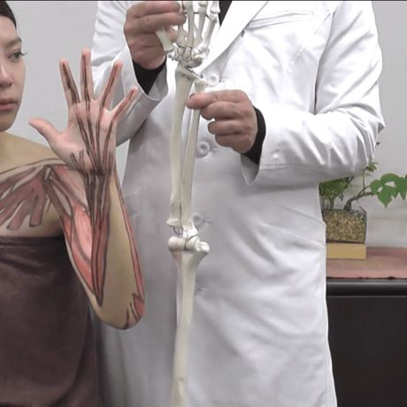 oriental medicine Tuina massage ～中医推拿～ 【上肢編】
