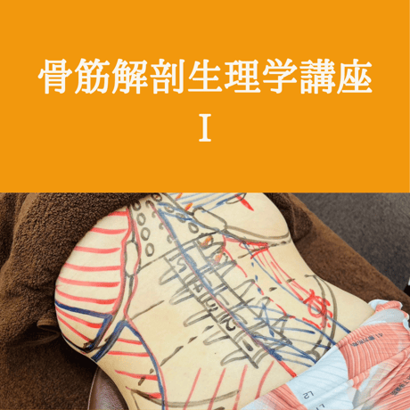 骨筋解剖生理学講座 Ⅰ【初回受講者用】