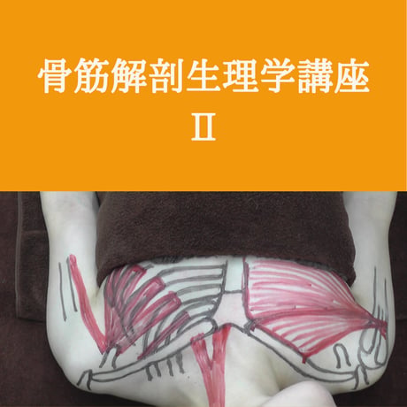 骨筋解剖生理学講座 Ⅱ【初回受講者用】
