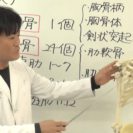 骨筋解剖生理学講座 Ⅰ・Ⅱセット講座　【初回受講者用】