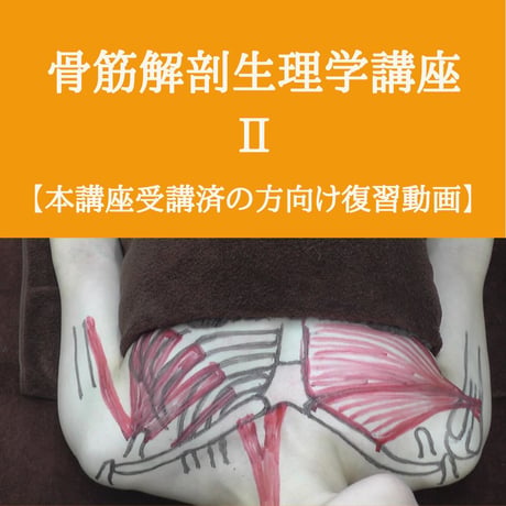骨筋解剖生理学講座 Ⅱ【本講座を受講済の方】