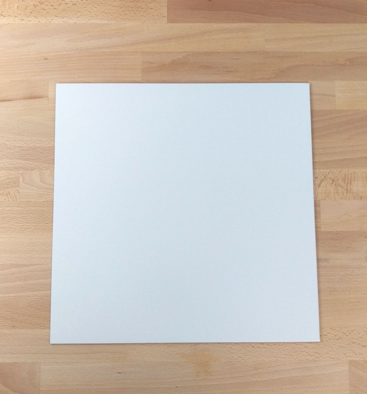 未使用品アナログレコードLP ※ 白ジャケット　WOOL & THE PANTS fit=scale-down,w=1200