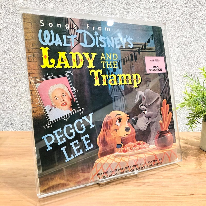 LP用アクリルフレーム (縁なし) | diskunion CDレコード