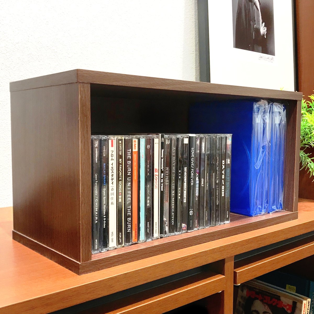 CD.本棚 CD500枚収納 ウォルナット fit=scale-down,w=1200