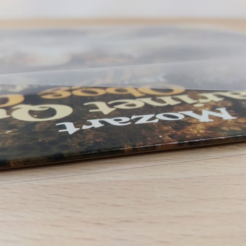 LP用ビニールカバー50枚セット | diskunion CDレコードアクセサリー