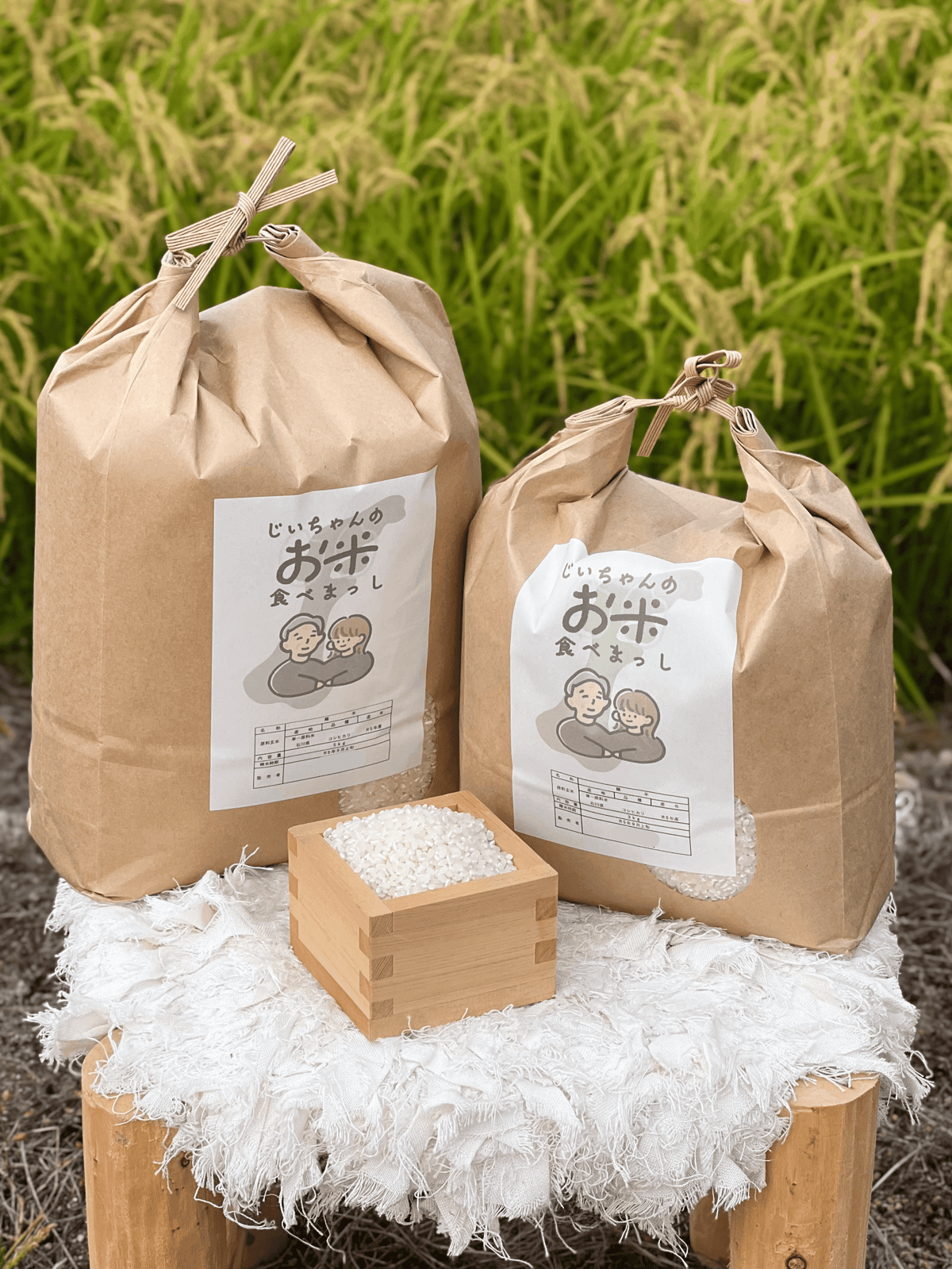 新米】令和6年9月産 石川県産一等コシヒカリ 5kg | じいちゃんのお米