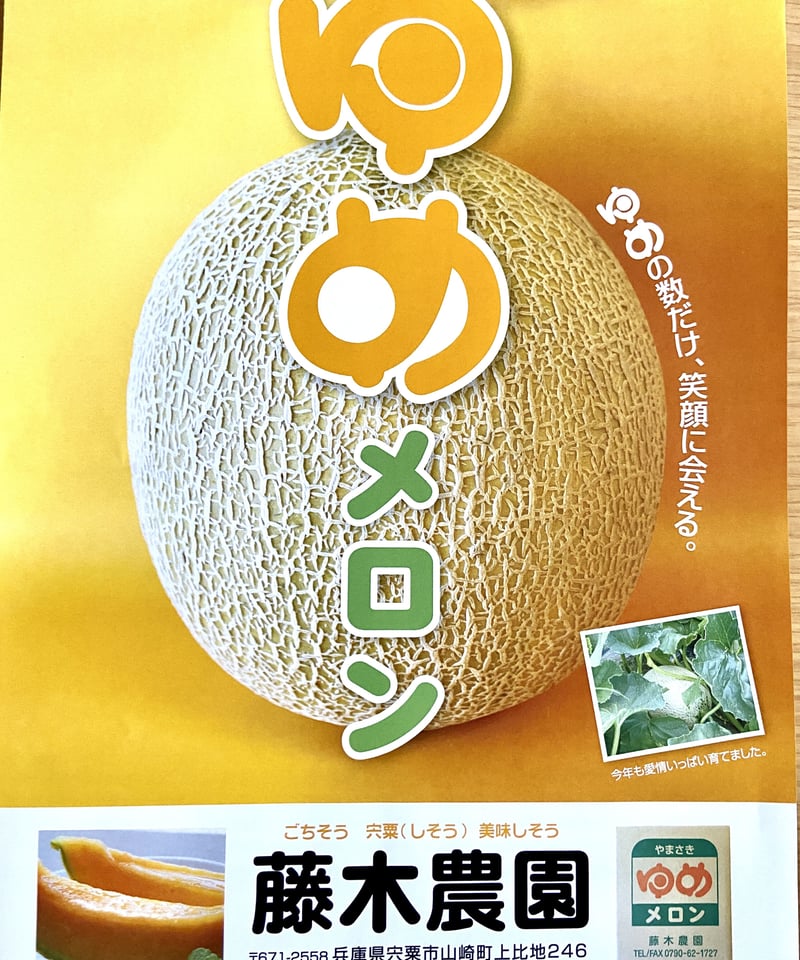 やまさき ゆめメロン | 藤木農園