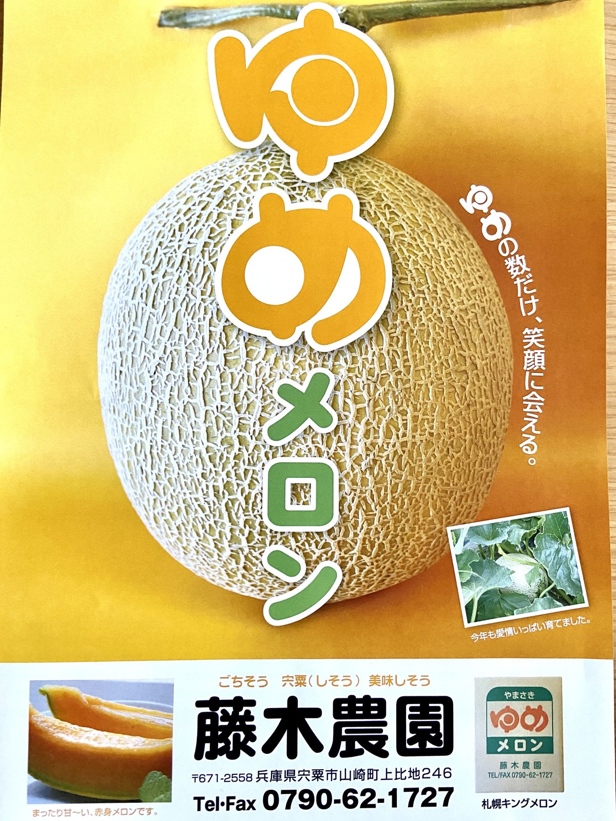やまさき ゆめメロン | 藤木農園