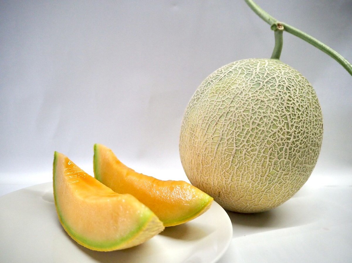 まめ　メロン① やまさき ゆめメロン | 藤木農園