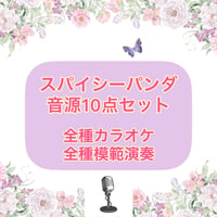 「スパイシーパンダ」音源10点セット