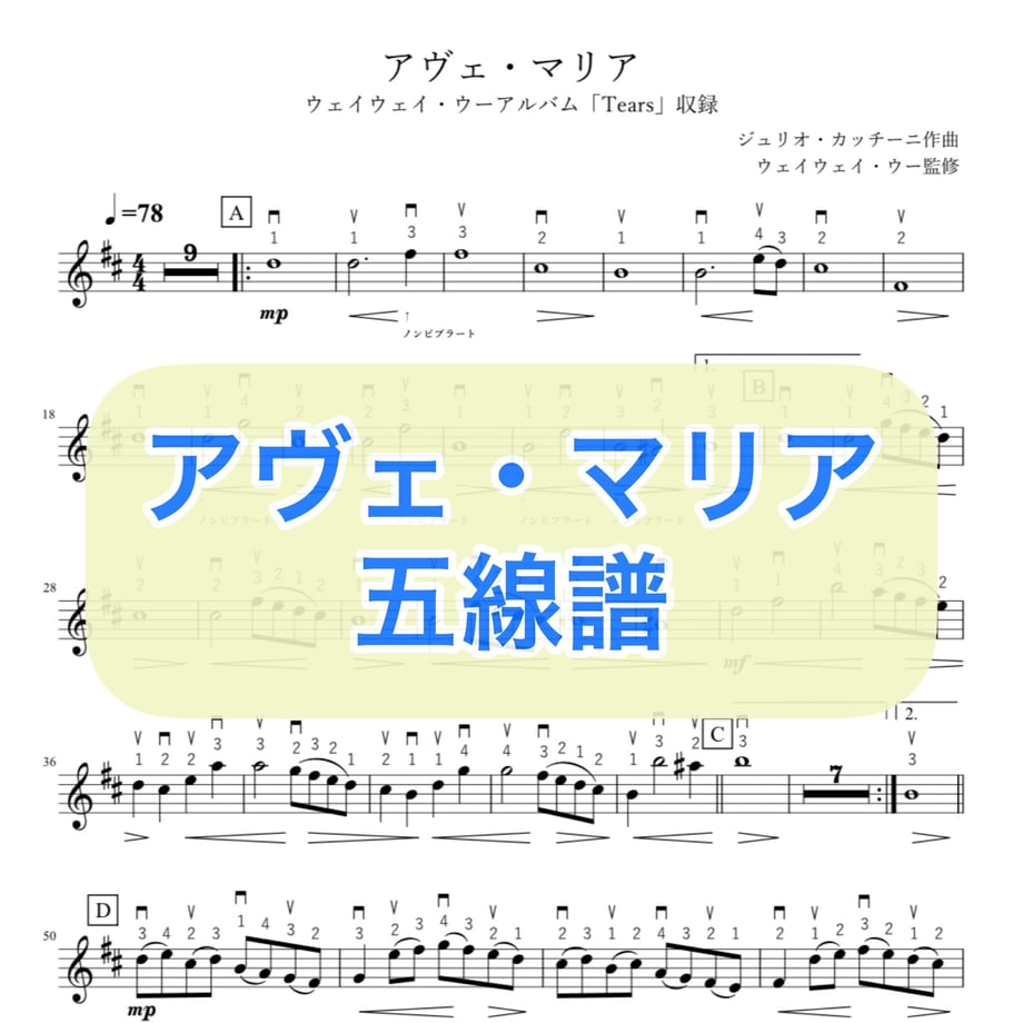 62bac55348992111a7c8c5f8