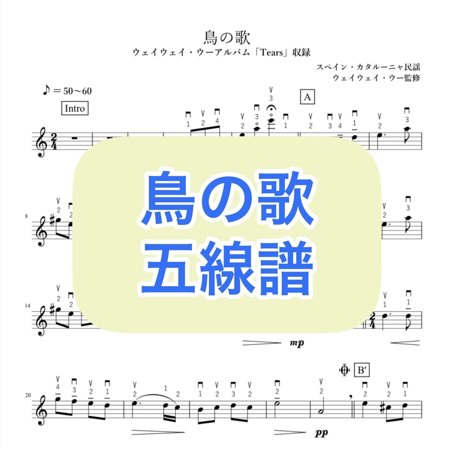 633b9568c808a4530b0232ac