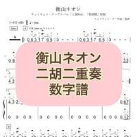 「衡山ネオン」二胡二重奏数字譜
