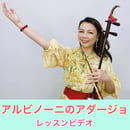 62205c3934e0172537c5adbb