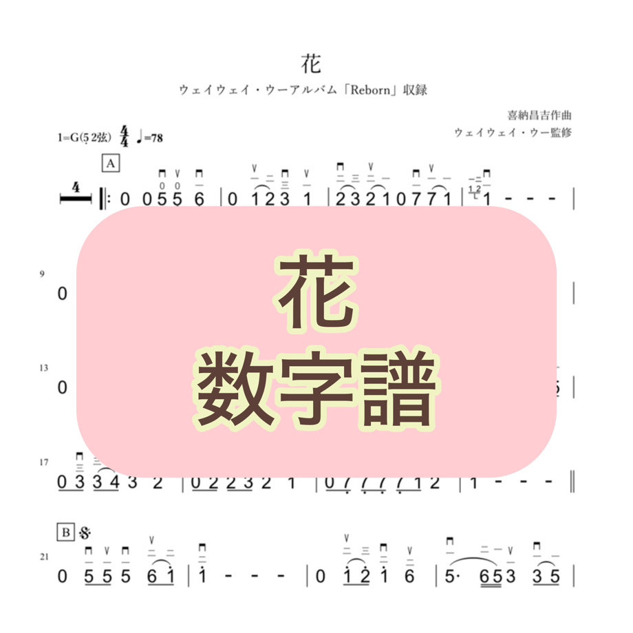 65f3318edbcf2514ad6be367