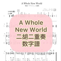 「A Whole New World」二胡二重奏 数字譜