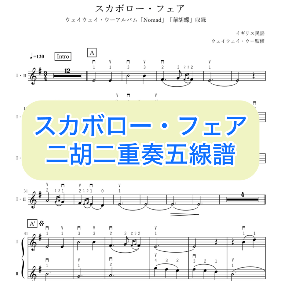 677a32428116d56305693411