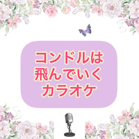 「コンドルは飛んでいく」カラオケ音源※モノラル音源