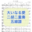 60c555fa91260a64cfac3c08