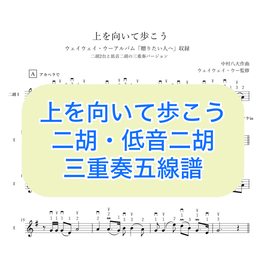 65f9beddb9d16e18a5f47522