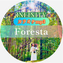 62f7ef972fc881717d6e21ff