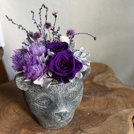 STORES プリザーブドフラワーの検索結果