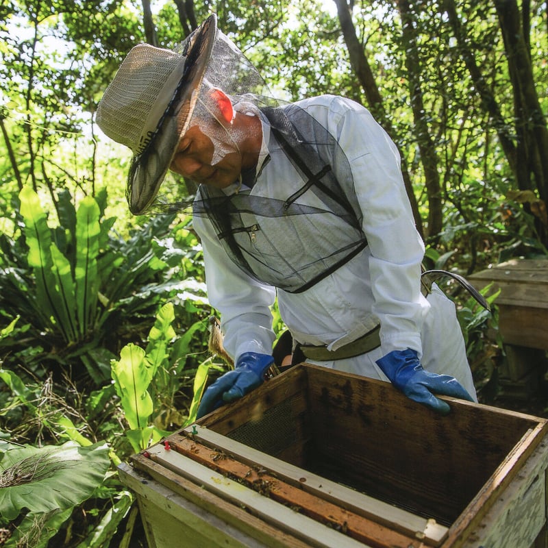 春蜜を贈り物や自分へのご褒美に】 石垣島はちみつ 春蜜 130g 四角瓶