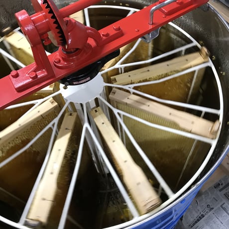 【春蜜をお得用サイズでお料理にも】 石垣島はちみつ 春蜜 1kg トンガリキャップボトル
