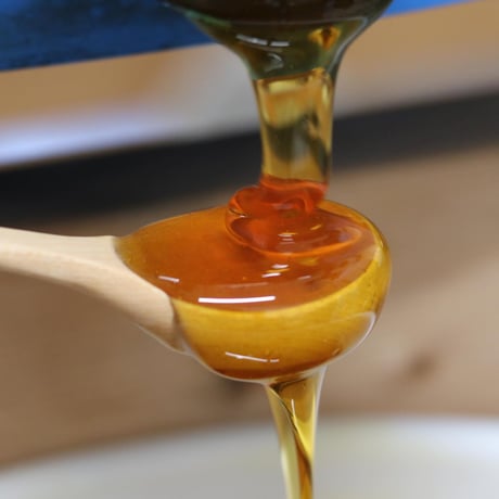 【春蜜を贈り物や自分へのご褒美に】 石垣島はちみつ 春蜜 130g 四角瓶