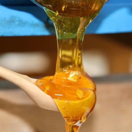 【春蜜をお得用サイズでお料理にも】 石垣島はちみつ 春蜜 1kg トンガリキャップボトル