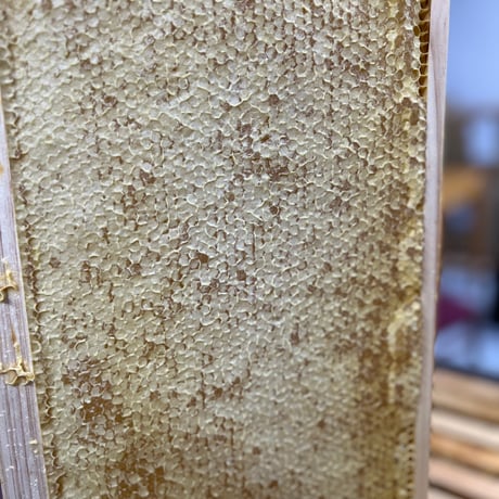 【冬蜜をご家庭用に】石垣島はちみつ 冬蜜 200g ソフトボトル
