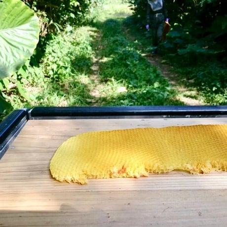 蜜ろうフレーク 【加工しやすい天然の蜜ろう】 100g