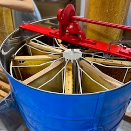 【冬蜜をお得用サイズでお料理にも】石垣島はちみつ 冬蜜 1kg トンガリキャップボトル