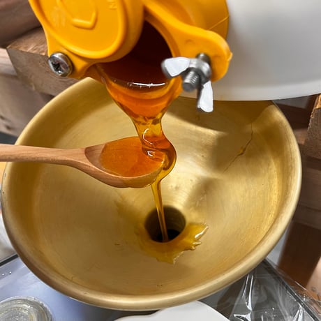 【冬蜜を安心サイズでたっぷりと】石垣島はちみつ 冬蜜 500g ソフトボトル