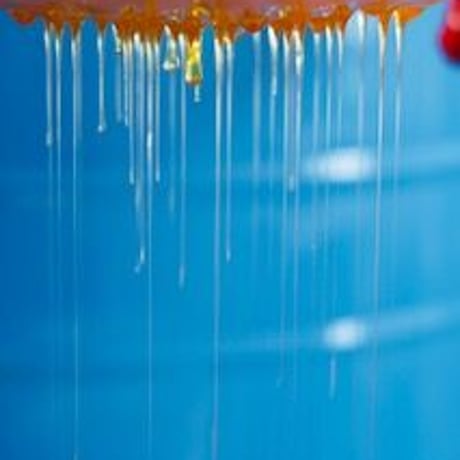 【春蜜を安心サイズでたっぷりと】 石垣島はちみつ 春蜜 500g ソフトボトル