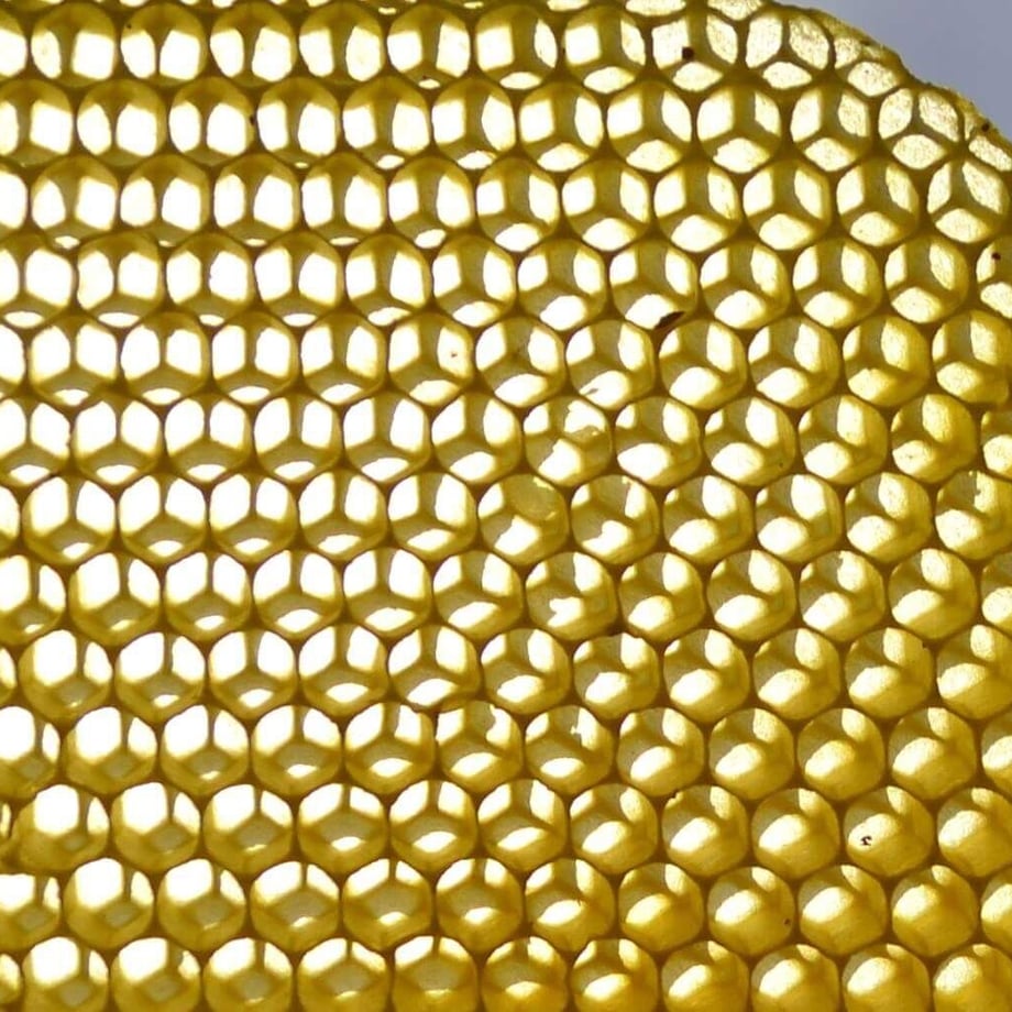 613398fa2305570e110363e8