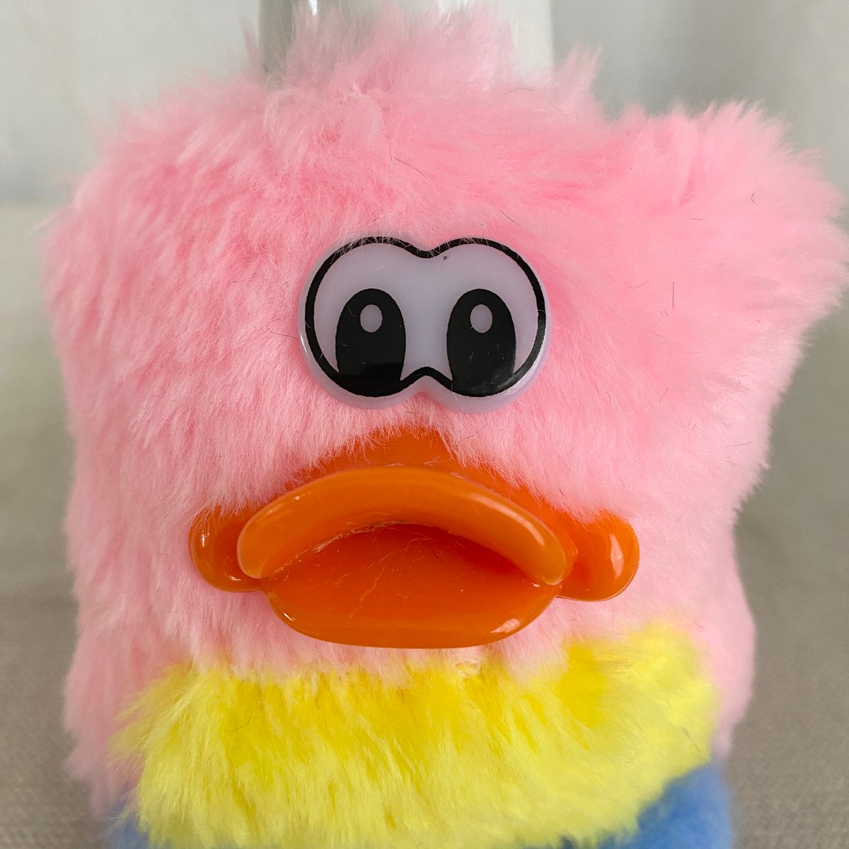 KEBIN 106 | MAISON DOLLSSAN