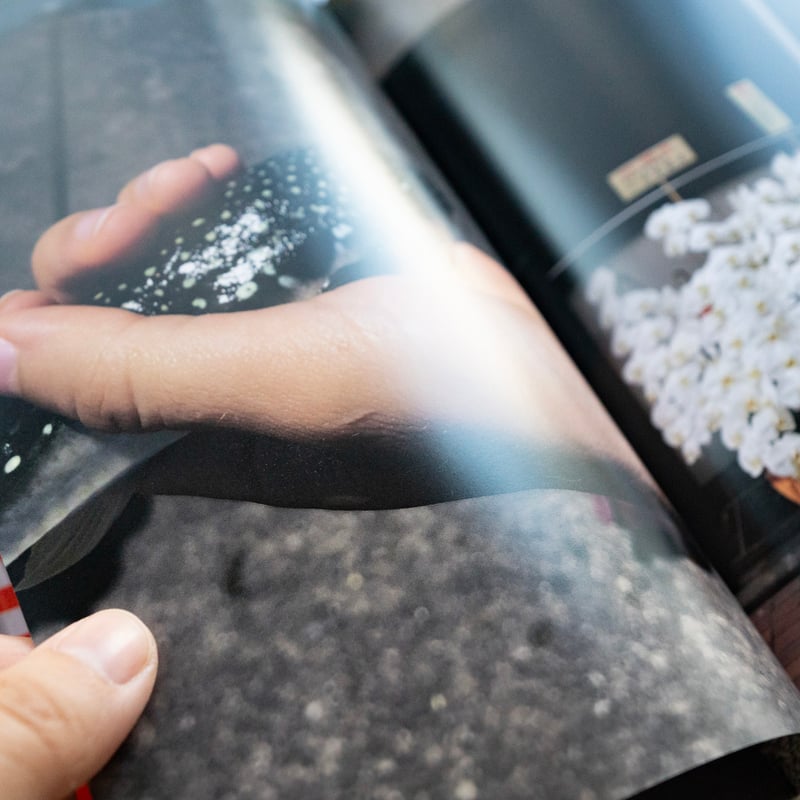 PERMANENT VACATION 長い長い休み」Pascal Viout パスカル・ヴィ