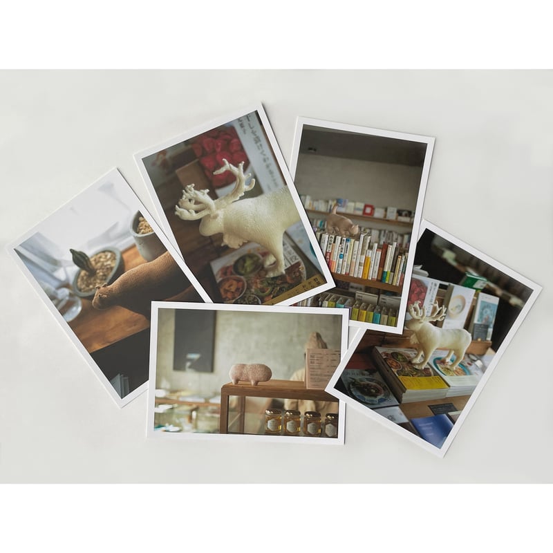 ikuellé ポストカードブック「kukkula」 | PINHOLE BOOKS