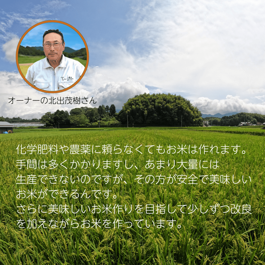 67619b45467cc70d48f26ef2